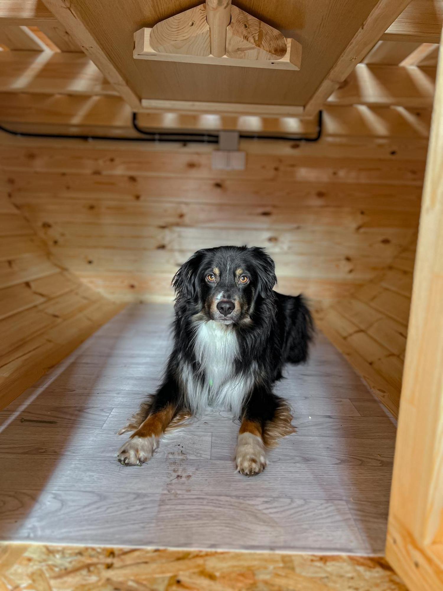 Wohnen im CampingCube direkt am Rhein Köln Exterior foto