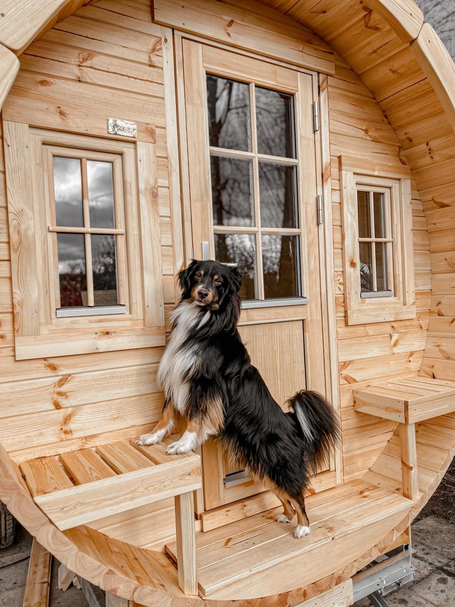 Wohnen im CampingCube direkt am Rhein Köln Exterior foto